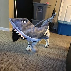 Halloween shark costume